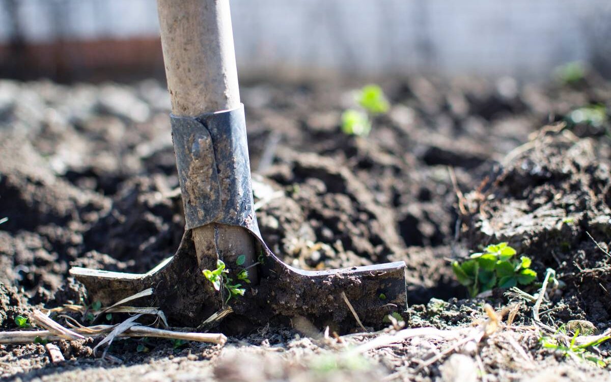 Quel outillage de jardin choisir pour l’entretien des espaces verts ? Erstein