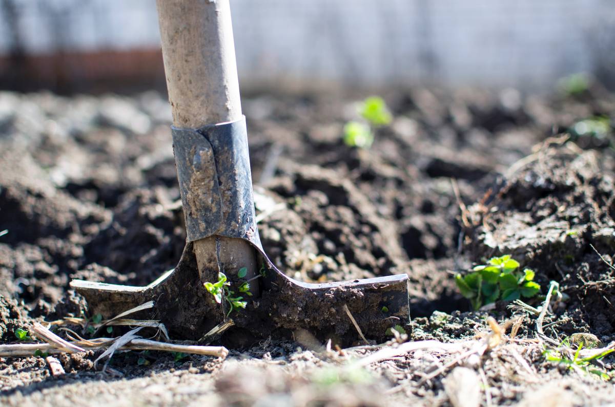 Quel outillage de jardin choisir pour l’entretien des espaces verts ? Erstein