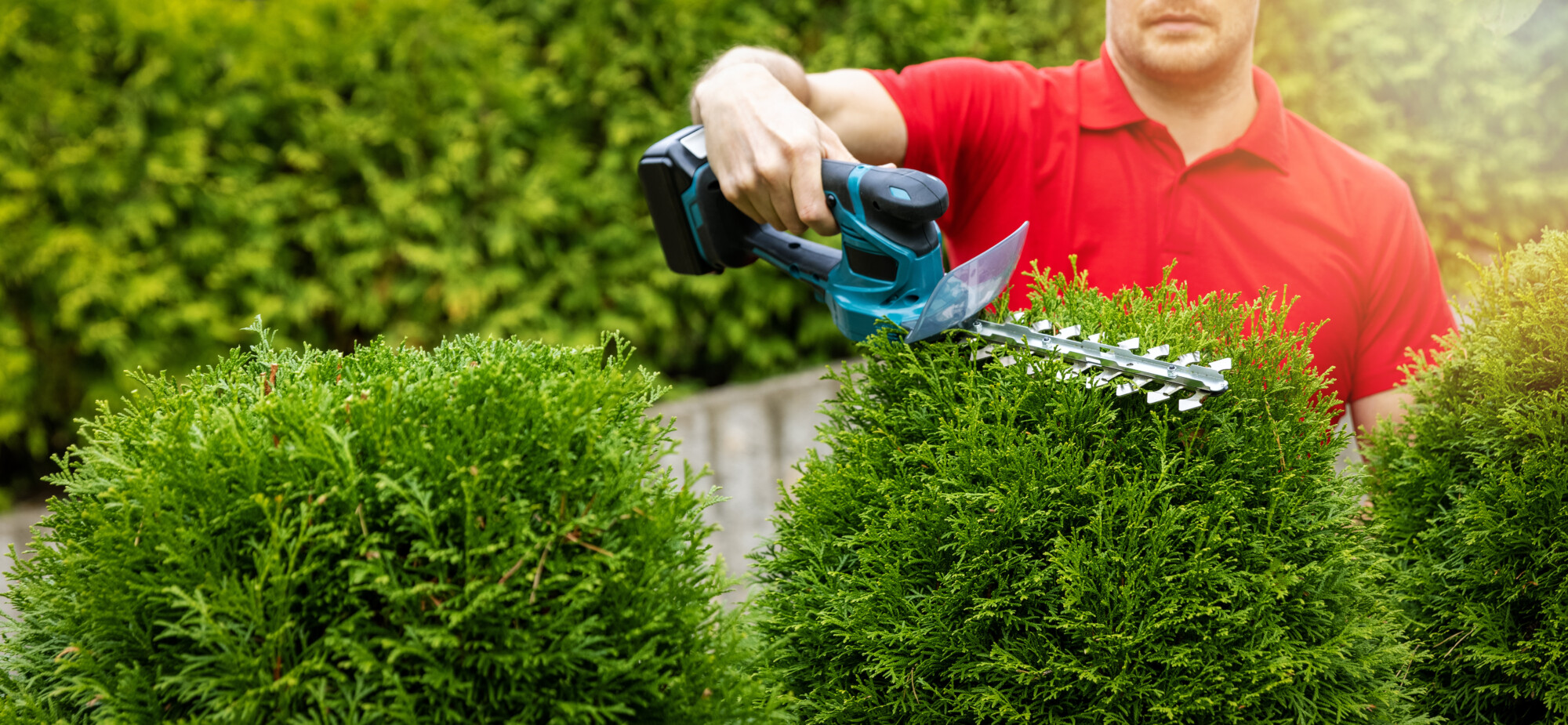 TFR : notre expérience en outillage pour espaces verts à votre service ! Cernay